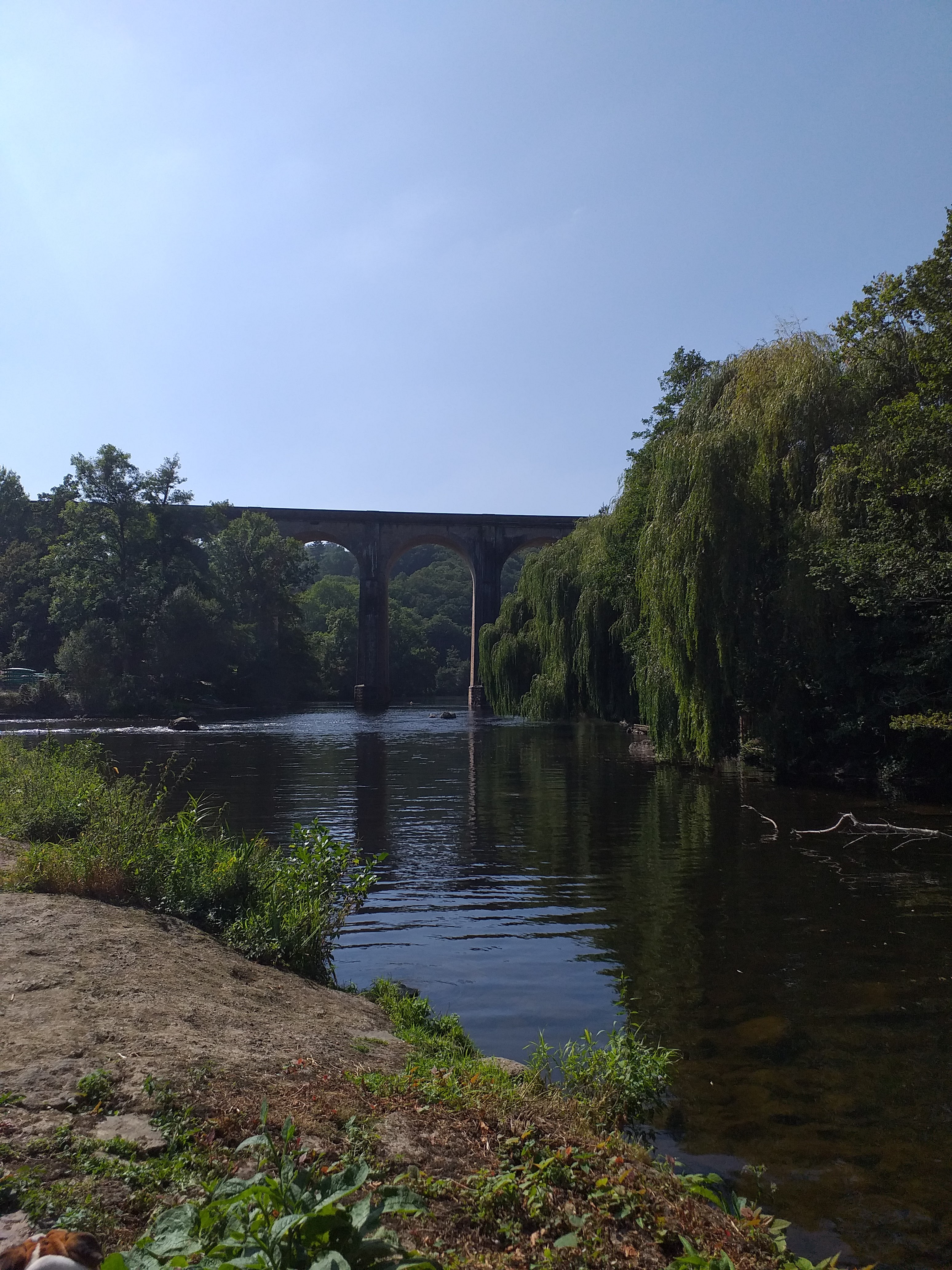 Photo n° 2 de l'avis de Letellier.e fait le 02/09/2021 à 14:05