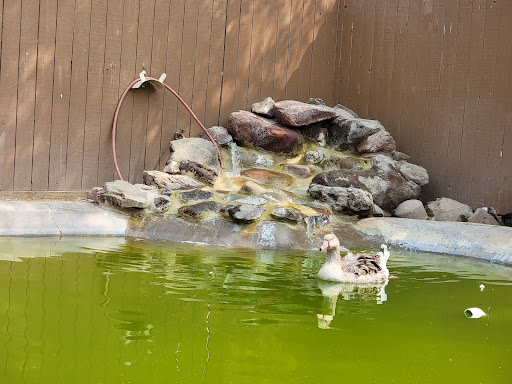 Produce Market «Underwood Family Farms», reviews and photos, 3370 Sunset Valley Rd, Moorpark, CA 93021, USA