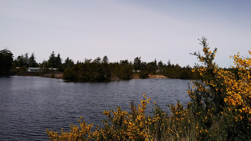 Hotel «Three Rivers Casino & Hotel», reviews and photos, 5647 Oregon 126, Florence, OR 97439, USA