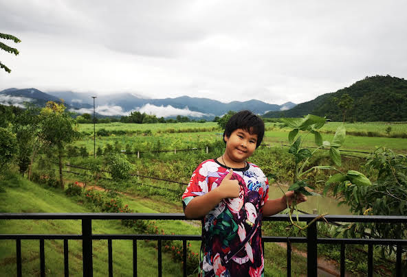 ไร่ลูกรักของพ่อ - โรงแรมใน Google