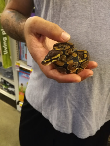 Pet Supply Store «PetSmart», reviews and photos, 104 Dettro Dr, Mattoon, IL 61938, USA