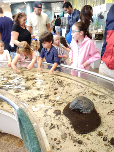 Natural History Museum «South Fork Natural History Museum & Nature Center», reviews and photos, 377 Bridgehampton-Sag Harbor Turnpike, Bridgehampton, NY 11932, USA