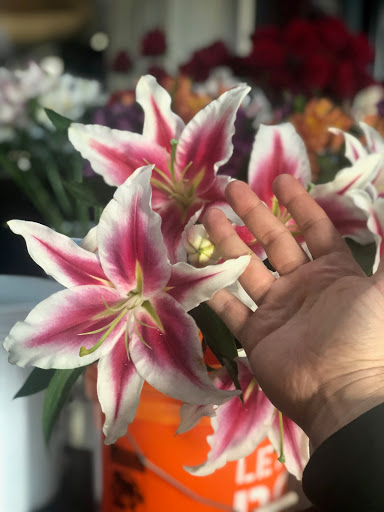 Florist «Pavilion of Flowers», reviews and photos, 799 Oceana Blvd, Pacifica, CA 94044, USA