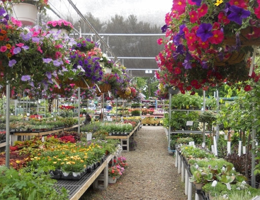 Florist «Metropolitan Plant & Flower», reviews and photos, 840 NJ-17, Paramus, NJ 07652, USA