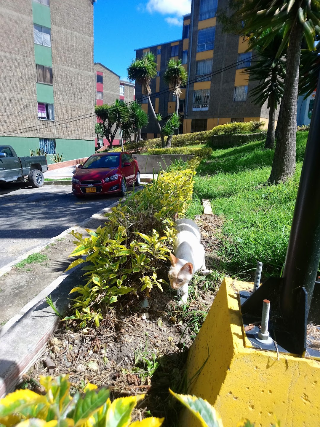 Conjunto Residencial Colmena
