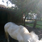 Photo n°2 de l'avis de Francisco.o fait le 18/09/2020 à 17:42 sur le  Aldeamento do Camarido à Cristelo