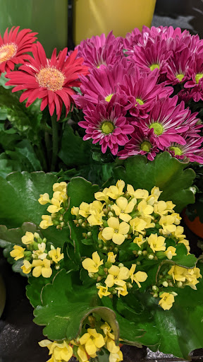 Supermarket «Wegmans», reviews and photos, 12501 Stone Village Way, Midlothian, VA 23113, USA