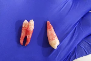 Forttiz Dental clinic image