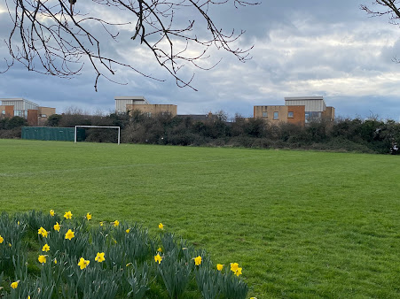 Harmonic Confluence Healing Arts Chiropractic Wellness Center - Harmonic Confluence Healing Arts Chiropractic Wellness Center