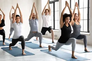 Instituto Português de Yoga image