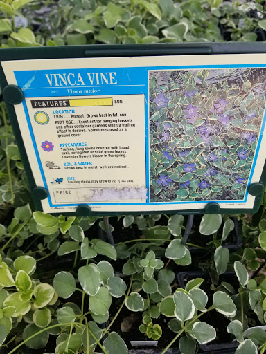 Florist «Lyndhurst Florist», reviews and photos, 5268 Mayfield Rd, Lyndhurst, OH 44124, USA