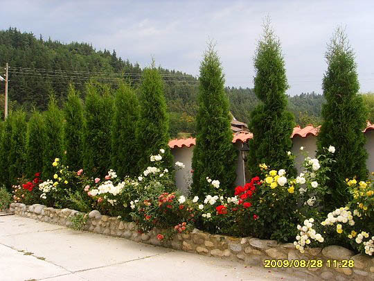 Comentarii opinii despre МД-Сотир Марков ЕООД, озеленяване