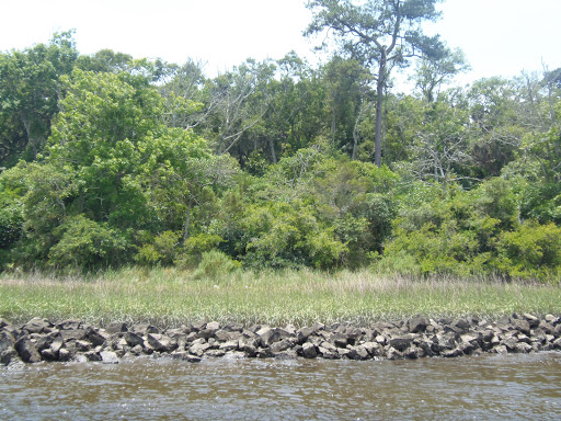 Memorial Park «Fort Caroline National Memorial», reviews and photos, 12713 Ft Caroline Rd, Jacksonville, FL 32225, USA