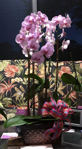 Florist «Eau Gallie Florist», reviews and photos, 1490 Highland Ave, Melbourne, FL 32935, USA