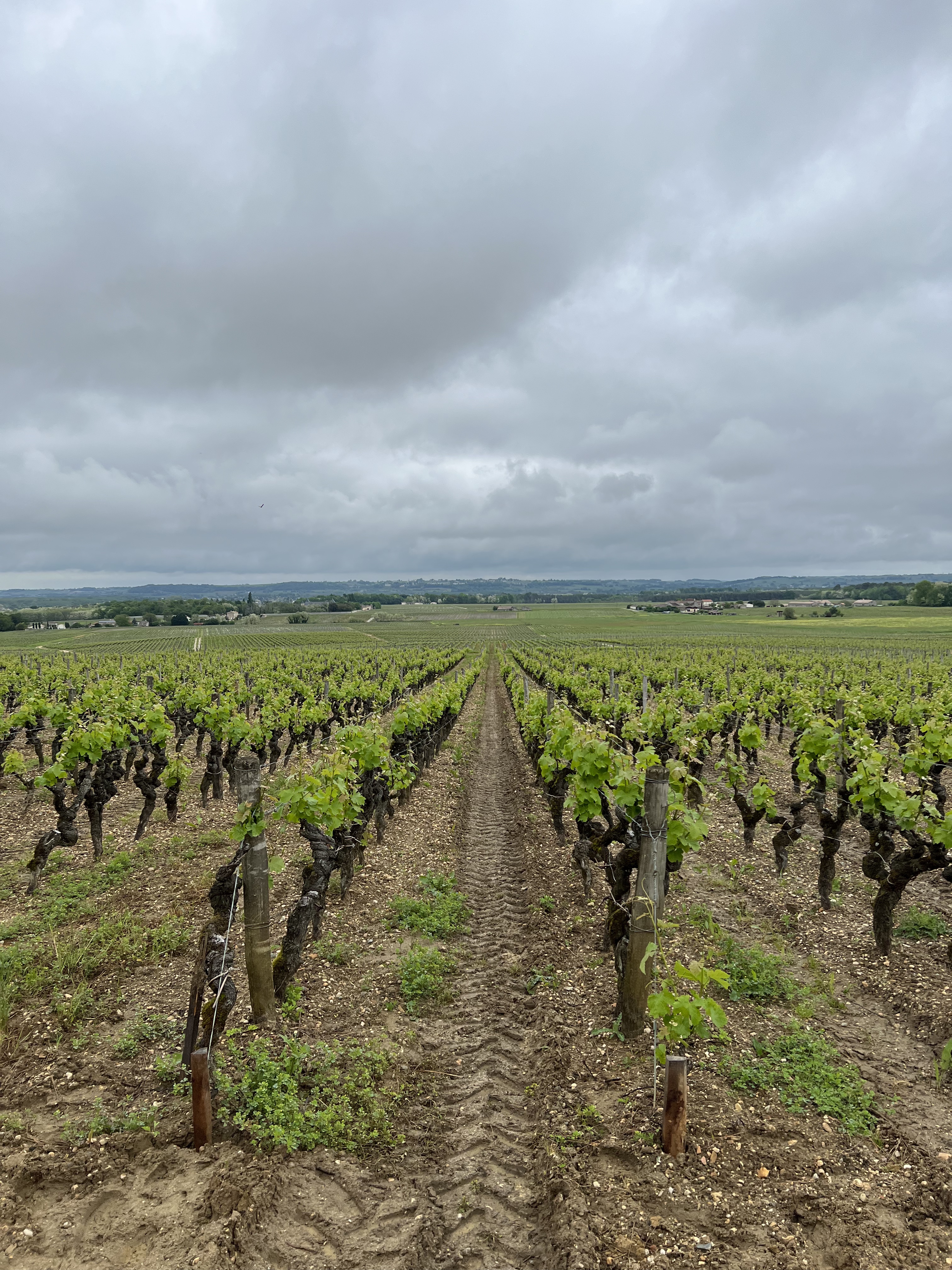 Photo n° 4 de l'avis de Miquel.a fait le 24/05/2023 à 16:10