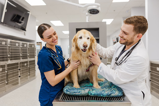 Veterinary Referral Center of Central Oregon, Emergency & Specialty image