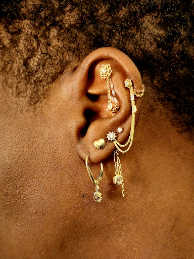 Explore pelican tattoo ideas, creative tattoo ideas in Vienna, available at Brilliance Piercing