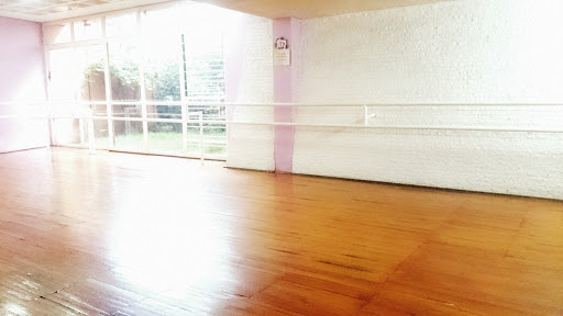 Instituto de Danza Satélite