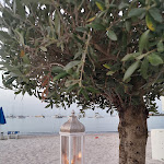 Photo n°7 de l'avis de Matteo.o fait le 28/08/2021 à 20:32 sur le  Il Regolo à Marinella