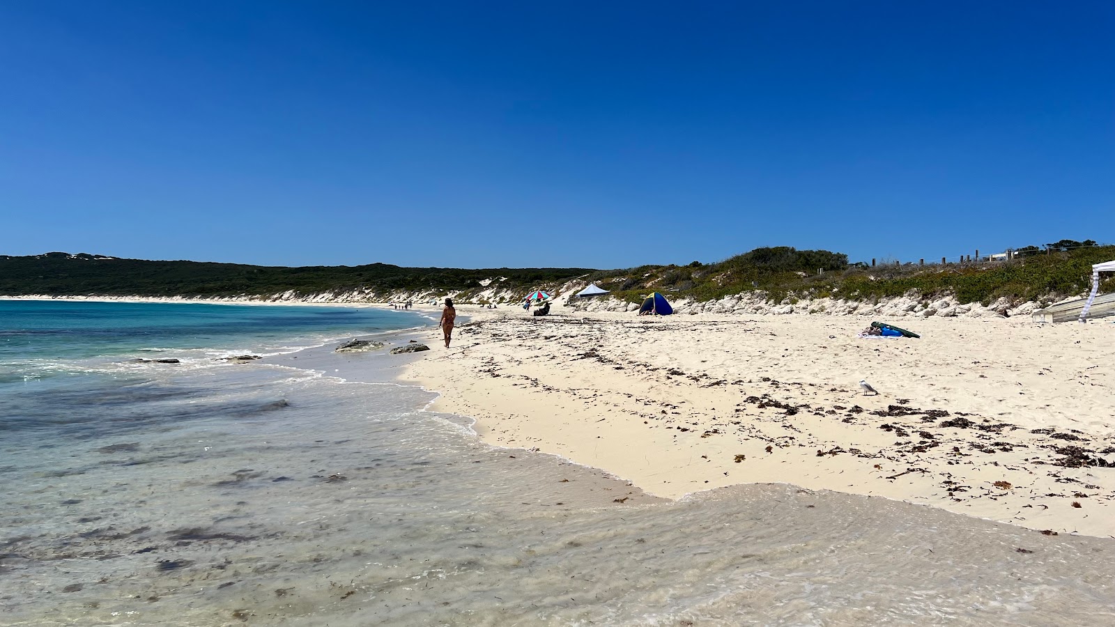 Foto de Hamelin Bay Beach - lugar popular entre os apreciadores de relaxamento