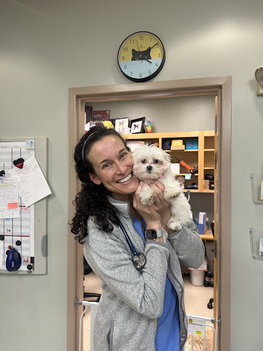 Milestone Veterinary Hospital image