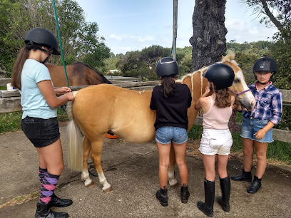 Huia Road Horse Club