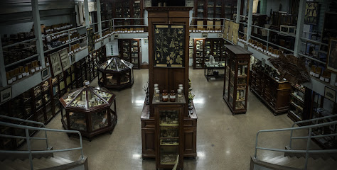 Museo de Farmacobotánica 'Juan A. Domínguez' de la U.B.A.