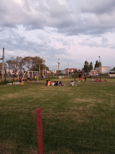Club Nacional de Fútbol Infantil - Campo de fútbol