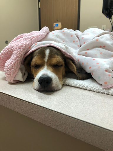 Pet Supply Store «Pet Ranch», reviews and photos, 3823 E 120th Ave, Denver, CO 80233, USA