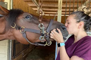 Pine Bush Equine Services and Veterinary Hospital image