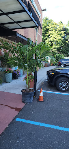 Florist «Metropolitan Plant & Flower Exchange Inc.», reviews and photos, 2125 Fletcher Ave, Fort Lee, NJ 07024, USA