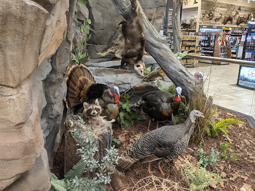 Shopping Mall «Eden Prairie Center», reviews and photos, 8251 Flying Cloud Dr, Eden Prairie, MN 55344, USA