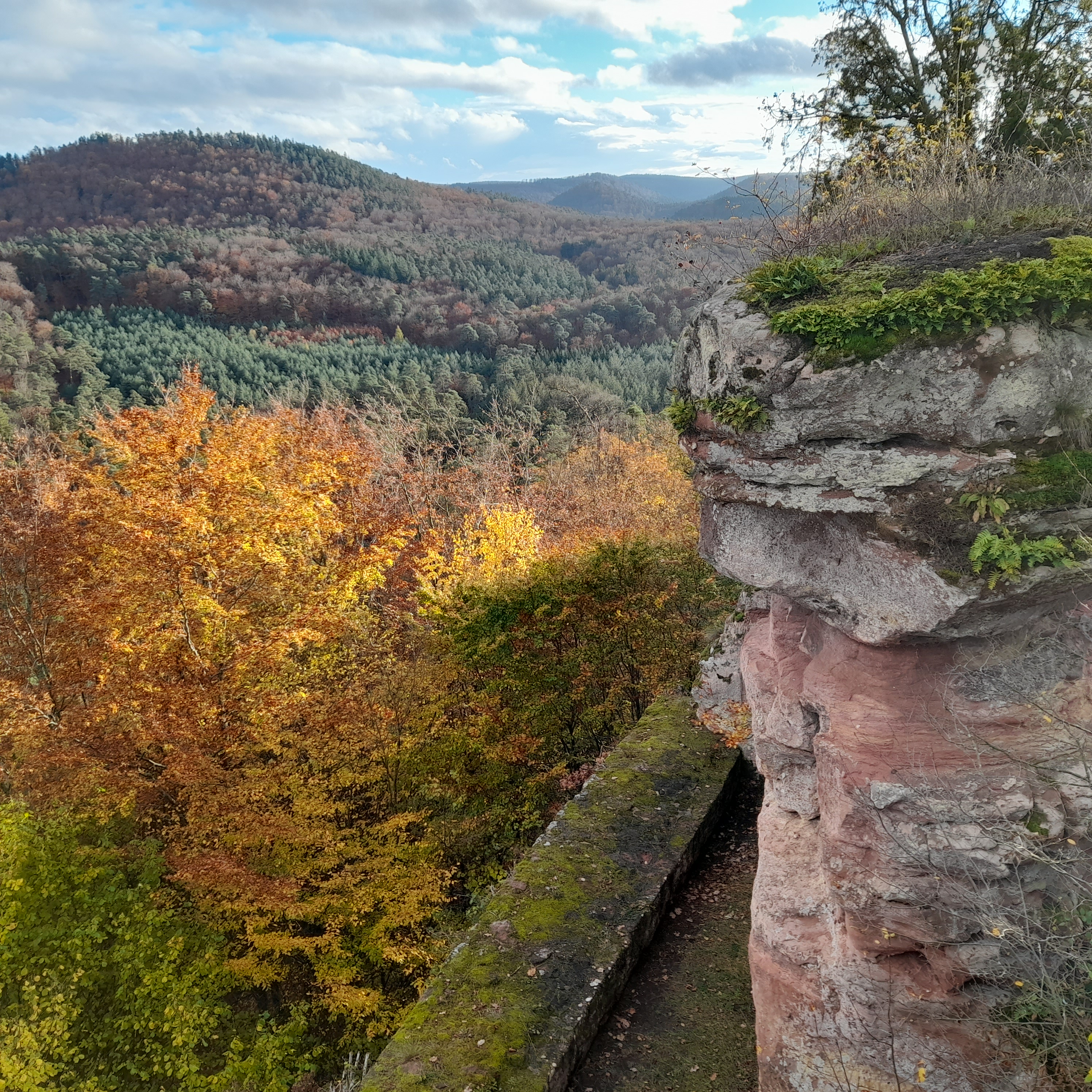 Photo n° 14 de l'avis de Hermeticum.u fait le 24/10/2023 à 07:40