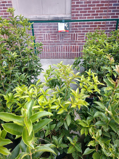 Garden Center «Pike Nurseries», reviews and photos, 615 W Crossville Rd, Roswell, GA 30075, USA