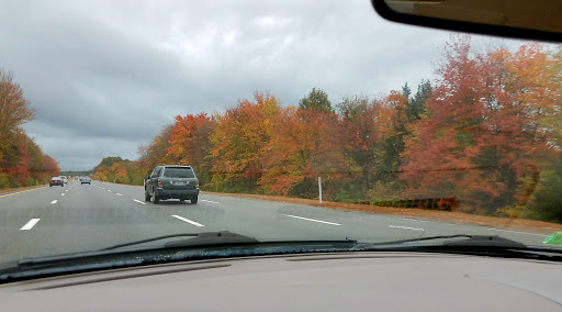 Flea Market «Seekonk Flea Market», reviews and photos, 1782 Fall River Ave, Seekonk, MA 02771, USA