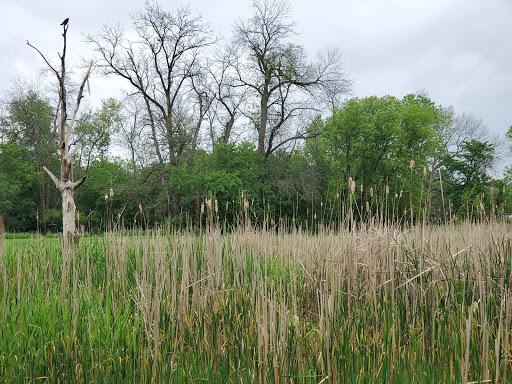 Public Golf Course «Currie Park Golf Course», reviews and photos, 3535 N Mayfair Rd, Wauwatosa, WI 53222, USA