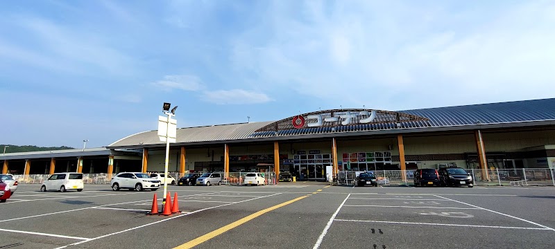 コーナン篠山店