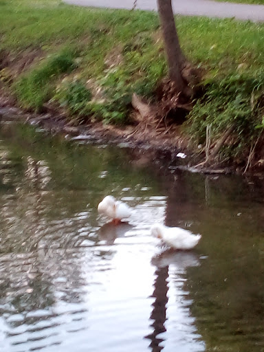 Art Museum «Richmond Art Museum», reviews and photos, 350 Hub Etchison Pkwy, Richmond, IN 47374, USA