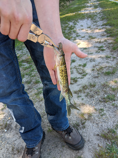 Community Park «Wells Mills County Park», reviews and photos, 905 Wells Mills Rd, Waretown, NJ 08758, USA