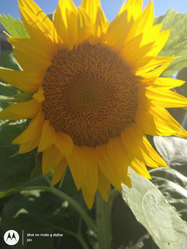 Thrift Store «Second Blessing Thrift Store Inc.», reviews and photos, 2323 Central Ave, Wichita, KS 67214, USA