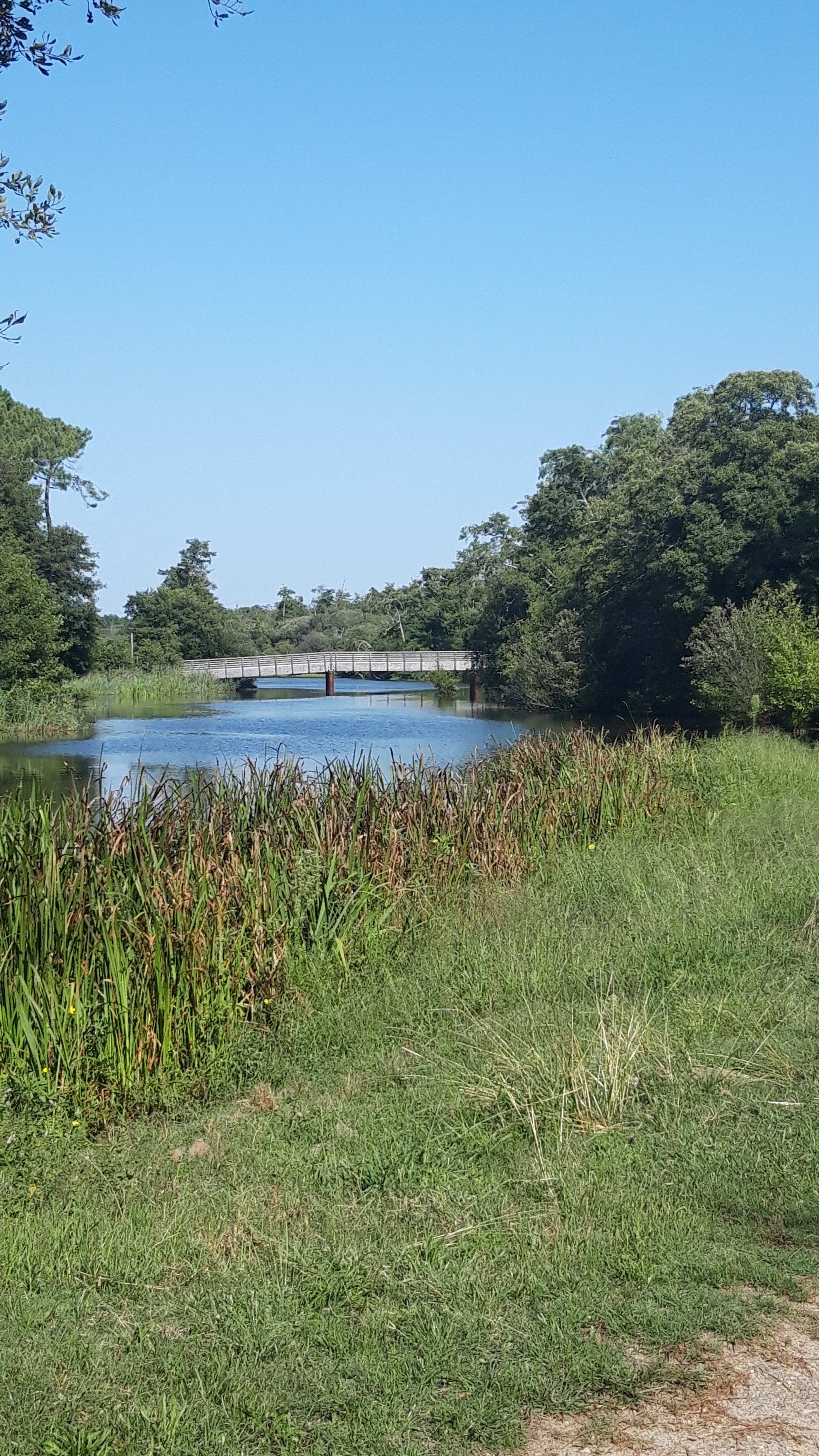 Photo n° 1 de l'avis de Marlène.b fait le 10/09/2023 à 17:39