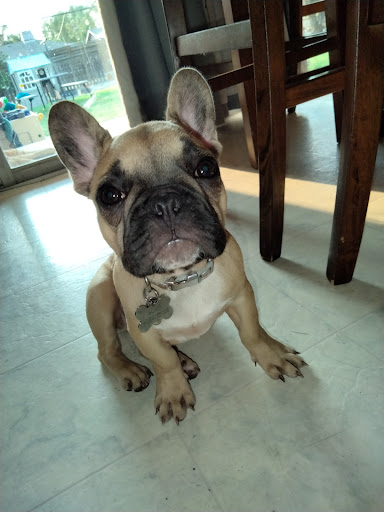 1624 E Pacheco Blvd, Los Banos, CA 93635, USA