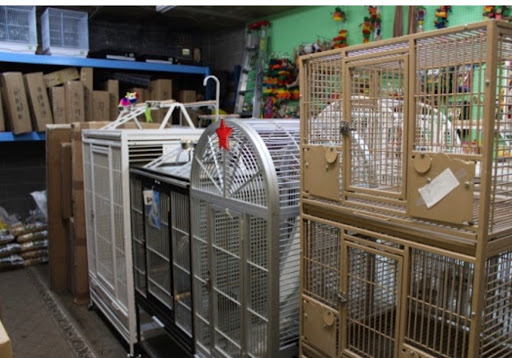 Bird Shop «Paterson Bird Store», reviews and photos, 13 Furler St # 1, Totowa, NJ 07512, USA
