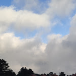 Photo n°5 de l'avis de Stefano.r fait le 16/02/2022 à 17:38 sur le  Ristorante Monte Conca à Linguaglossa