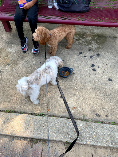 Park «Louise F Cosca Regional Park», reviews and photos, 11000 Thrift Rd, Clinton, MD 20735, USA