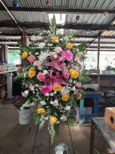 Florist «TGF Flowers», reviews and photos, 3902 Fannin St, Houston, TX 77004, USA