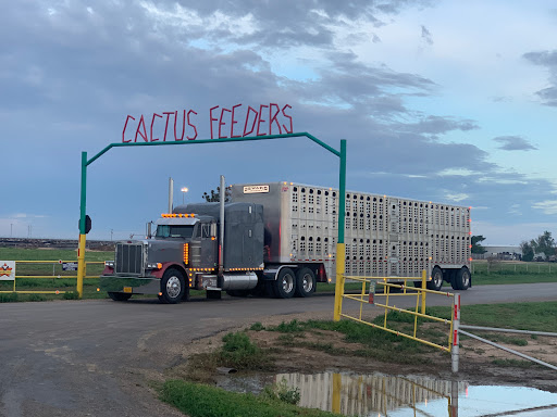 Cactus Feed Yard