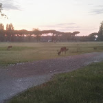 Photo n°2 de l'avis de Daniele.a fait le 24/05/2019 à 04:10 sur le  Ristorante Poldino à Pisa