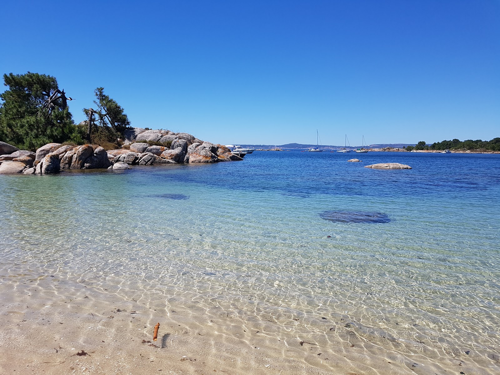 Praia Lontreira'in fotoğrafı çok temiz temizlik seviyesi ile
