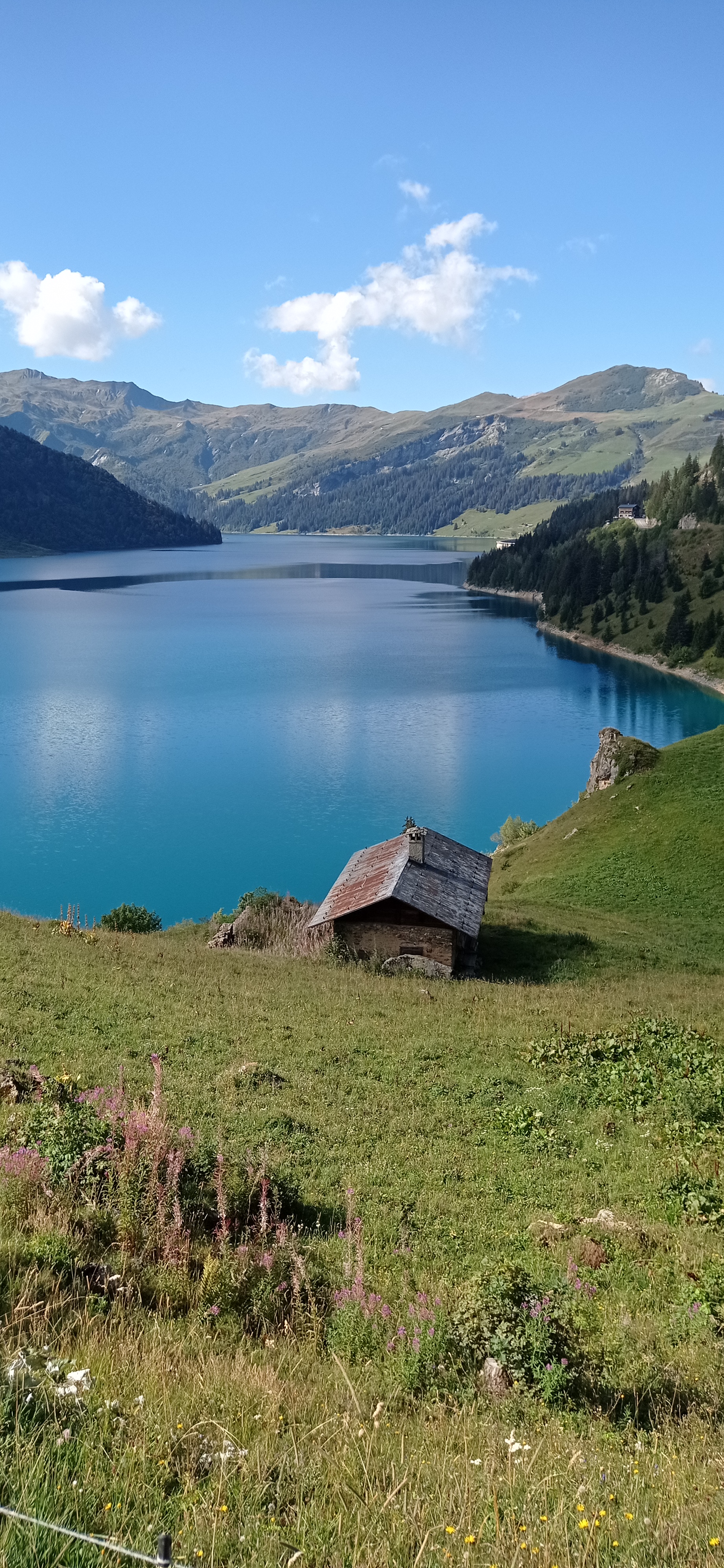 Photo n° 1 de l'avis de lau.2 fait le 05/09/2020 à 18:43